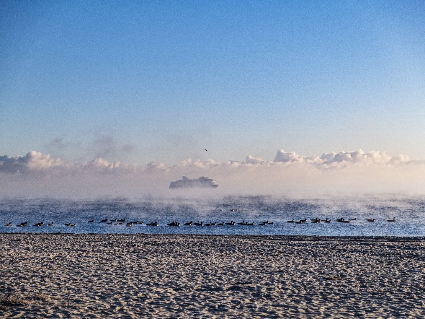 Winterruhe und Wohlgefühl an der Ostsee / 5 Nächte