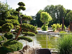 Silvester in der Lüneburger Heide