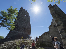 Wandern am Rhein & Siebengebirge | 4 Tage