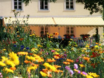 Sommerwoche
