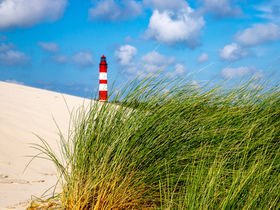 Valentinstag auf Amrum an der Nordsee  I 3 Tage