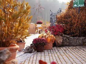 Ins Land der Franken fahren! Geschenk: fränkisches Biertragerl