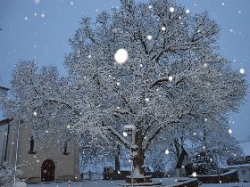 Yoga-Reise zu Weihnachten im Schwarzwald – 4 Tage für Regeneration & innere Stabilisierung