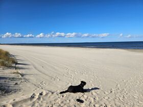 3 Tage die Ostsee auf Usedom genießen inkl. Abendessen