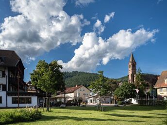 6 Tage / 5 Nächte KennlernTage im Schwarzwald 