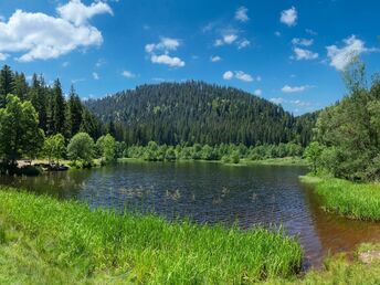 6 Tage / 5 Nächte KennlernTage im Schwarzwald 
