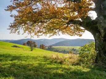 6 Tage / 5 Nächte KennlernTage im Schwarzwald 