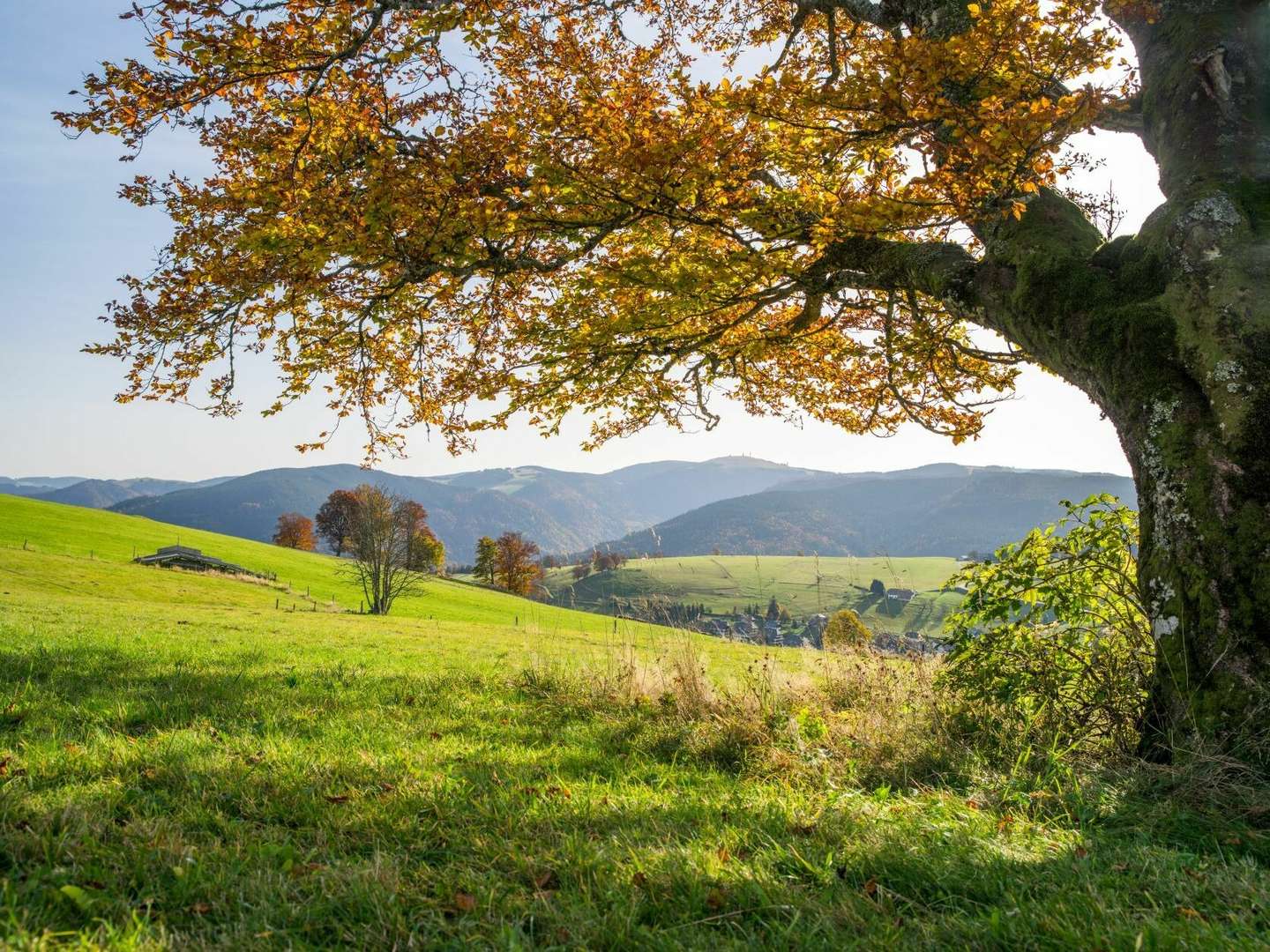 6 Tage / 5 Nächte KennlernTage im Schwarzwald 