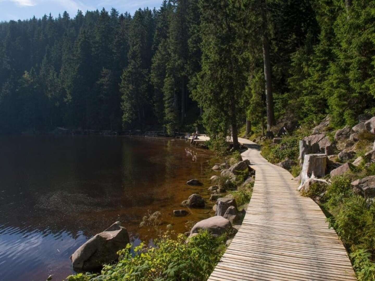 6 Tage / 5 Nächte KennlernTage im Schwarzwald 