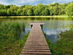 Wanderauszeit am Eifelsteig inkl. HP | 4 Tage