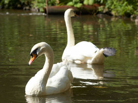 Eifeler Schlemmertage inkl. HP und Eifeler Edelbrand | 3 Tage