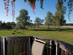 Last Minute Silvester Spezial - 4 Tage inkl. 5% Rabatt