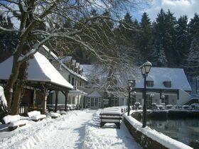 Erholung pur - 3 Tage im Silberbachtal im Teutoburger Wald 