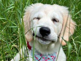 Kurz mal raus ins Sauerland | 3 Tage