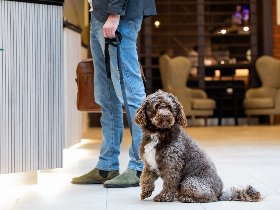 Bremen für Stadtentdecker mit der BremenCARD | 3 Tage