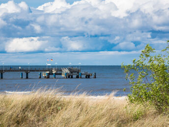 Bild 26 von 36