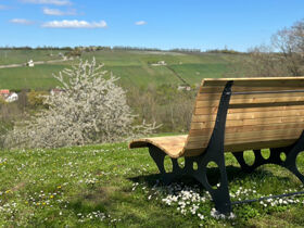 Rad-Wandern im Maindreieck 