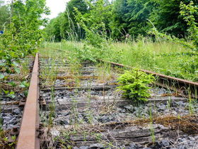 Aktiv & Relax im Sauerland - 4 Tage