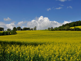 Bild 22 von 24