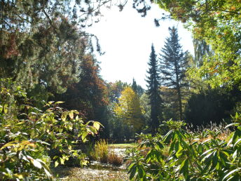 Bild 24 von 24