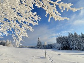 Winterwandern in der Rhön - Wanderangebot für Naturliebhaber 3 Übernachtungen 