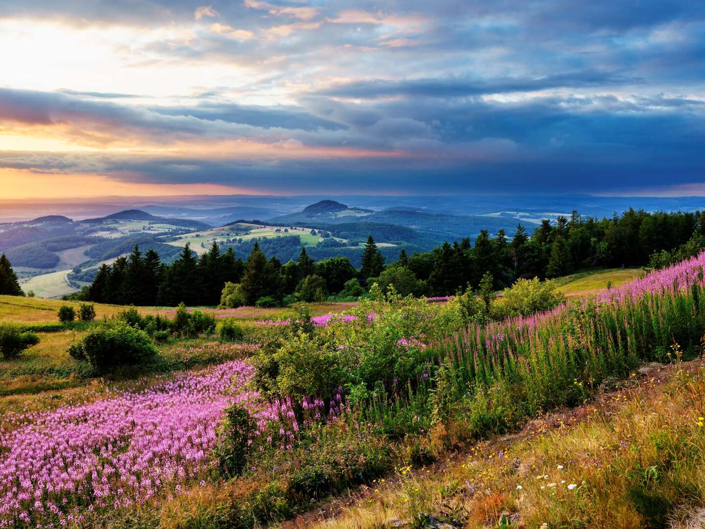 Zieh an die Wanderschuh - 7 Tage in der Rhön