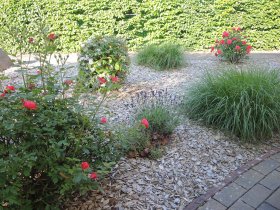 8 Tage Usedom, Urlaub auf der Sonneninsel, direkt am Meer 