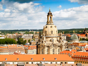 4 Tage - Dresden tierisch erleben inkl. Zooticket & Rundfahrt 