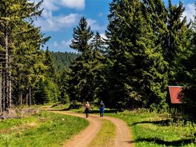 Last Minute Special-Deal / Kleine Auszeit im Thüringer Wald 