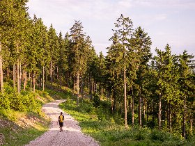 Schnuppertage im Thüringer Wald inkl. 1x Abendessen