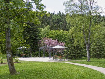 Bild 19 von 19