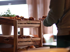 Flower-Power auf der Mainau- 3 Tage am Bodensee 2025