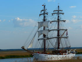 Frühlingserwachen auf dem Fischland Darß