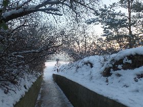 Ostseeurlaub in Zinnowitz