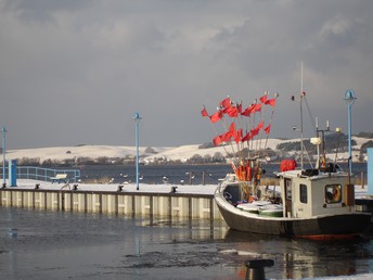 Bild 31 von 33