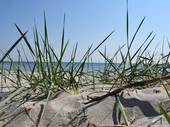 Bild 26 von 33