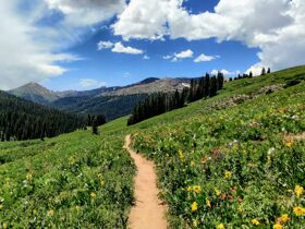 Tagestrip-Romantik zu zweit im Allgäu