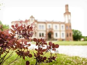 Kurzurlaub im Mecklenburger Schloss nahe Wismar zum Frühlingsstart -Schneeglöckchentage