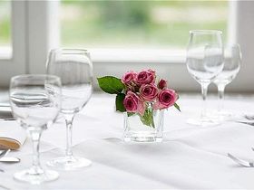 Kurzurlaub im Mecklenburger Schloss nahe Wismar zum Frühlingsstart -Schneeglöckchentage