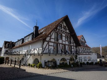 Tannenbaumschlagen im Advent im Sauerland + Wanderung durch den Eisborner Winterwald