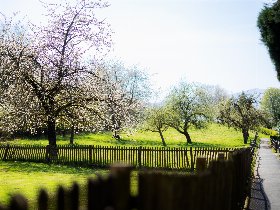 Romantisches Wochenende & Whirlpool im Sauerland | 2 Tage