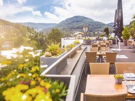 Green Days - Schwarzwald mit Baumwipfelpfad