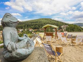 Green Days - Schwarzwald mit Baumwipfelpfad