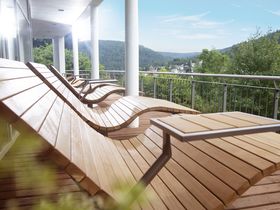 Green Days - Schwarzwald mit Baumwipfelpfad