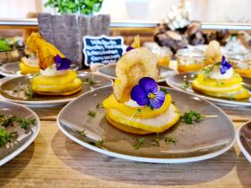 Green Days - Schwarzwald mit Baumwipfelpfad