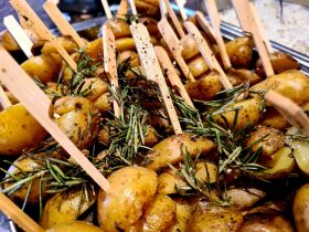 Green Days - Schwarzwald mit Baumwipfelpfad