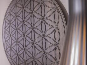 Green Days - Schwarzwald mit Baumwipfelpfad