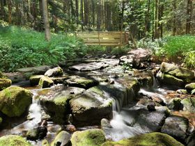 Kurzurlaub in Bad Peterstal-Griesbach im Schwarzwald