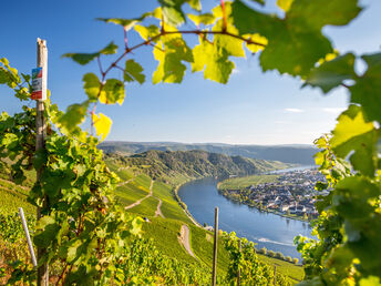 4-Tage Mosel-Trip 