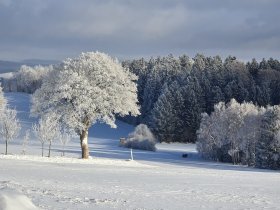 Romantischer Kurzurlaub für Zwei im Erzgebirge